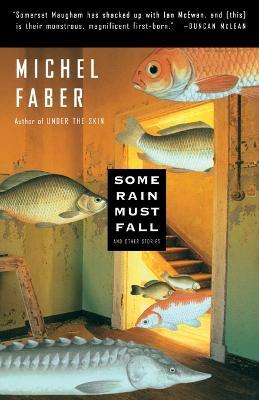 Some Rain Must Fall - Michel Faber - cover