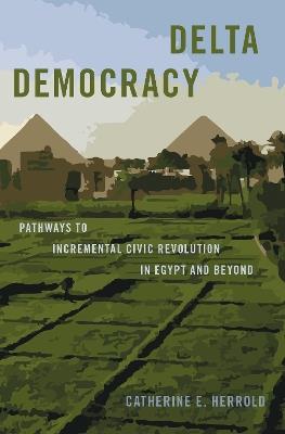 Delta Democracy: Pathways to Incremental Civic Revolution in Egypt and Beyond - Catherine E. Herrold - cover