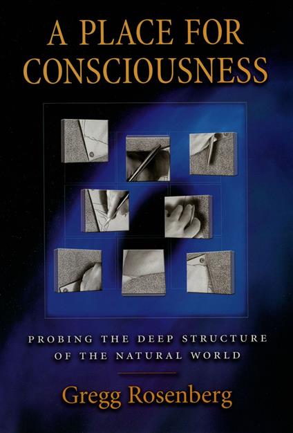 A Place for Consciousness