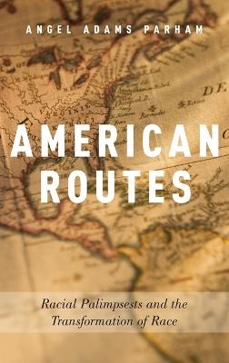 American Routes: Racial Palimpsests and the Transformation of Race - Angel Adams Parham - cover