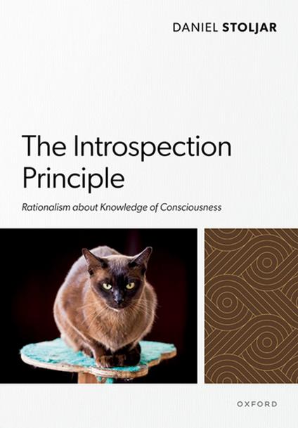 The Introspection Principle