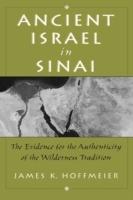 Ancient Israel in Sinai: The Evidence for the Authenticity of the Wilderness Traditions - James K. Hoffmeier - cover
