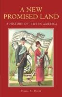 A New Promised Land: A History of Jews in America - Hasia R. Diner - cover