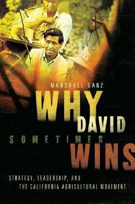 Why David Sometimes Wins: Leadership, Strategy and the Organization in the California Farm Worker Movement - Marshall Ganz - cover