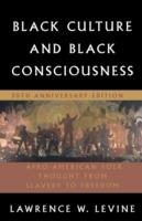 Black Culture and Black Consciousness: Afro-American Folk Thought from Slavery to Freedom - Lawrence W. Levine - cover