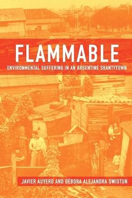 Flammable: Environmental Suffering in an Argentine Shantytown - Javier Auyero,Debora Alejandra Swistun - cover