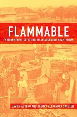 Flammable: Environmental Suffering in an Argentine Shantytown - Javier Auyero,Debora Alejandra Swistun - cover