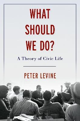 What Should We Do?: A Theory of Civic Life - Peter Levine - cover