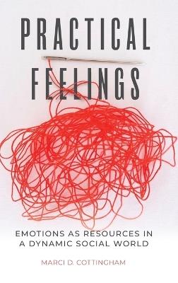 Practical Feelings: Emotions as Resources in a Dynamic Social World - Marci D. Cottingham - cover