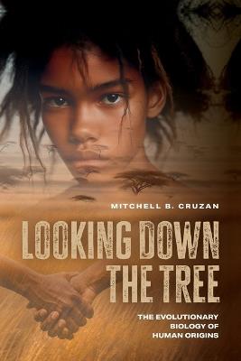 Looking Down the Tree: The Evolutionary Biology of Human Origins - Mitchell B. Cruzan - cover
