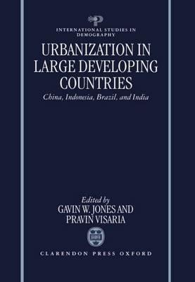 Urbanization in Large Developing Countries: China, Indonesia, Brazil, and India - cover