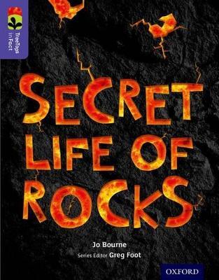 Oxford Reading Tree TreeTops inFact: Level 11: Secret Life of Rocks - Jo Bourne - cover