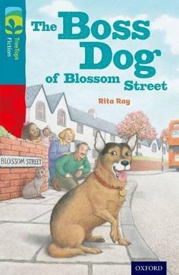 Oxford Reading Tree TreeTops Fiction: Level 9 More Pack A: The Boss Dog of Blossom Street - Rita Ray - cover