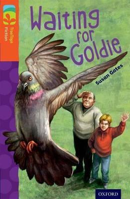 Oxford Reading Tree TreeTops Fiction: Level 13: Waiting for Goldie - Susan Gates - cover