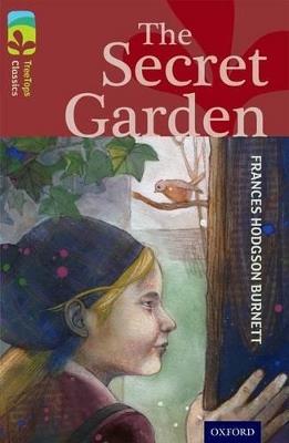 Oxford Reading Tree TreeTops Classics: Level 15: The Secret Garden - Frances Hodgson Burnett,Helena Pielichaty - cover