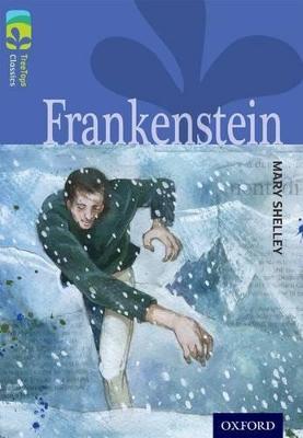 Oxford Reading Tree TreeTops Classics: Level 17: Frankenstein - Mary Shelley,Nick Warburton - cover