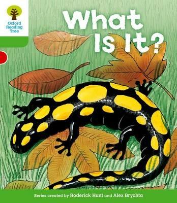 Oxford Reading Tree: Level 2: More Patterned Stories A: What Is It? - Roderick Hunt - cover