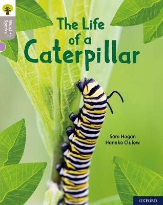 Oxford Reading Tree Word Sparks: Level 1: The Life of a Caterpillar - Sam Hogan - cover