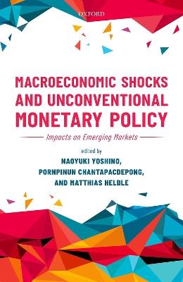 Macroeconomic Shocks and Unconventional Monetary Policy: Impacts on Emerging Markets - cover