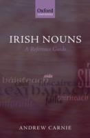 Irish Nouns: A Reference Guide - Andrew Carnie - cover
