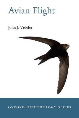 Avian Flight - John J. Videler - cover