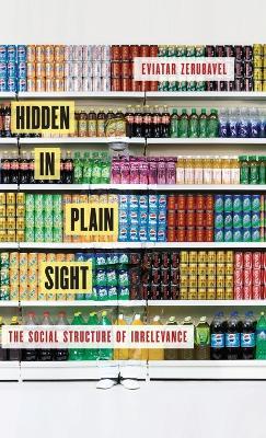 Hidden in Plain Sight: The Social Structure of Irrelevance - Eviatar Zerubavel - cover