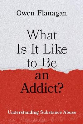 What Is It Like to Be an Addict?: Understanding Substance Abuse - Owen Flanagan - cover