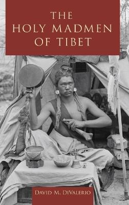 The Holy Madmen of Tibet - David M. DiValerio - cover