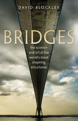 Bridges: The science and art of the world's most inspiring structures - David Blockley - cover