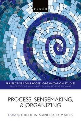 Process, Sensemaking, and Organizing - cover