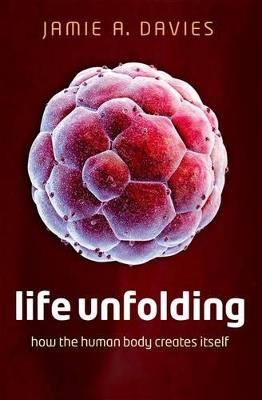 Life Unfolding: How the human body creates itself - Jamie A. Davies - cover
