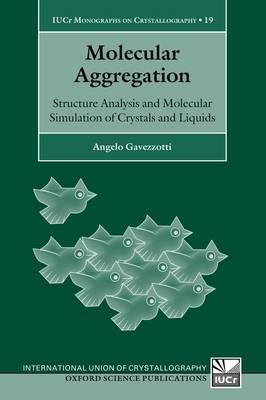 Molecular Aggregation: Structure Analysis and Molecular Simulation of Crystals and Liquids - Angelo Gavezzotti - cover
