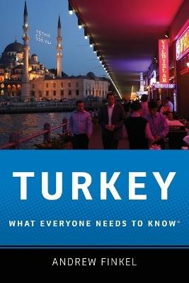 Turkey: What Everyone Needs to Know® - Andrew Finkel - cover