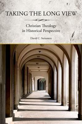 Taking the Long View: Christian Theology in Historical Perspective - David Steinmetz - cover