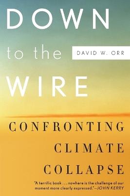 Down to the Wire: Confronting Climate Collapse - David W. Orr - cover