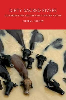 Dirty, Sacred Rivers: Confronting South Asia's Water Crisis - Cheryl Colopy - cover