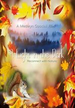 A Light In The Dark (Blu-ray)