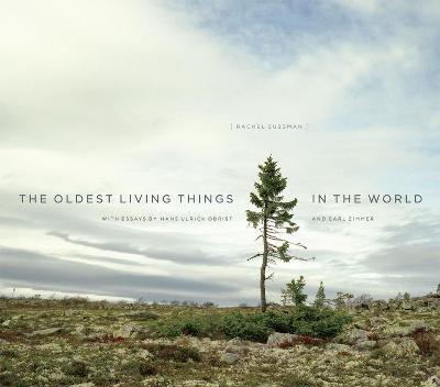 The Oldest Living Things in the World - Rachel Sussman - cover