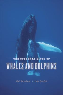The Cultural Lives of Whales and Dolphins - Hal Whitehead,Luke Rendell - cover