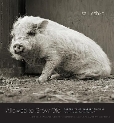 Allowed to Grow Old: Portraits of Elderly Animals from Farm Sanctuaries - cover