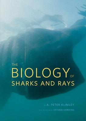 The Biology of Sharks and Rays - A. Peter Klimley - cover
