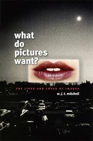 What Do Pictures Want?