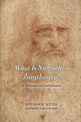 What is Nietzsche`s Zarathustra? - A Philosophical Confrontation - Heinrich Meier,Justin Gottschalk - cover