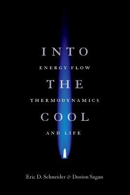 Into the Cool: Energy Flow, Thermodynamics, and Life - Eric D. Schneider,Dorion Sagan - cover