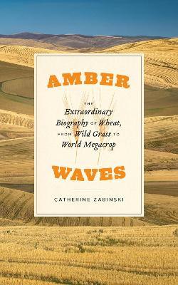 Amber Waves: The Extraordinary Biography of Wheat, from Wild Grass to World Megacrop - Catherine Zabinski - cover
