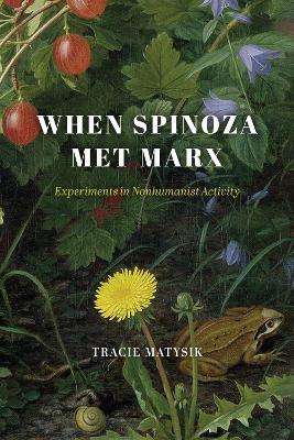 When Spinoza Met Marx: Experiments in Nonhumanist Activity - Tracie Matysik - cover