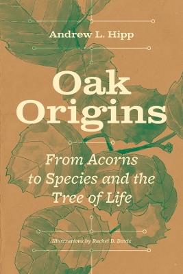 Oak Origins: From Acorns to Species and the Tree of Life - Andrew L. Hipp - cover