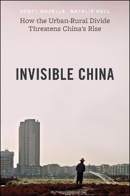 Invisible China: How the Urban-Rural Divide Threatens China's Rise - Scott Rozelle,Natalie Hell - cover