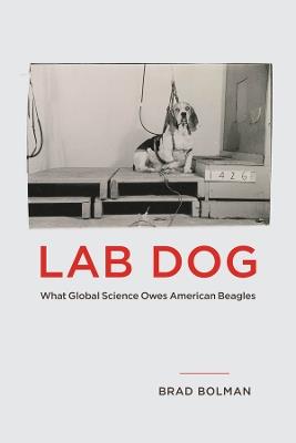 Lab Dog: What Global Science Owes American Beagles - Brad Bolman - cover