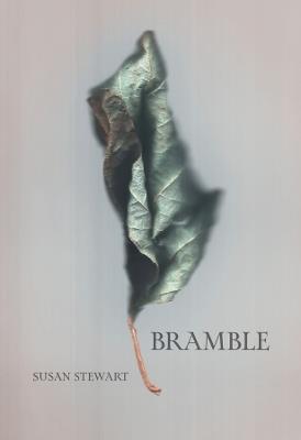 Bramble - Susan Stewart - cover